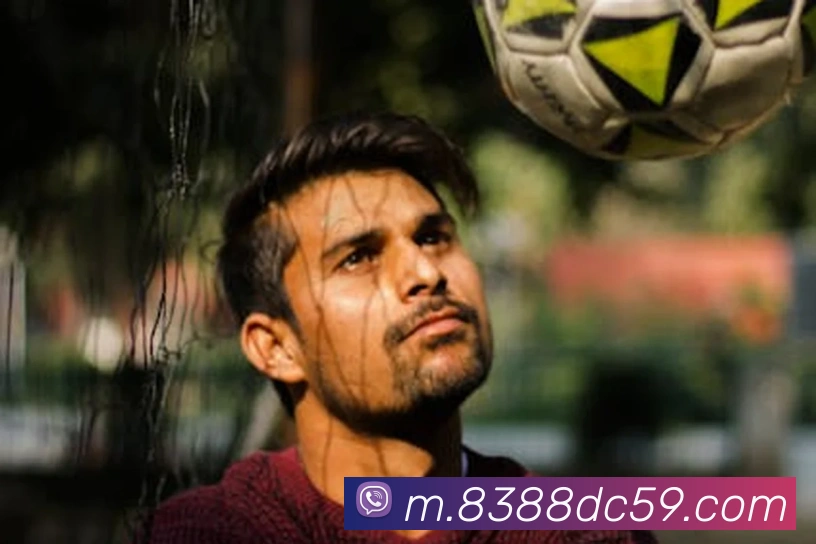 皇家赌场hjdc平台生态图